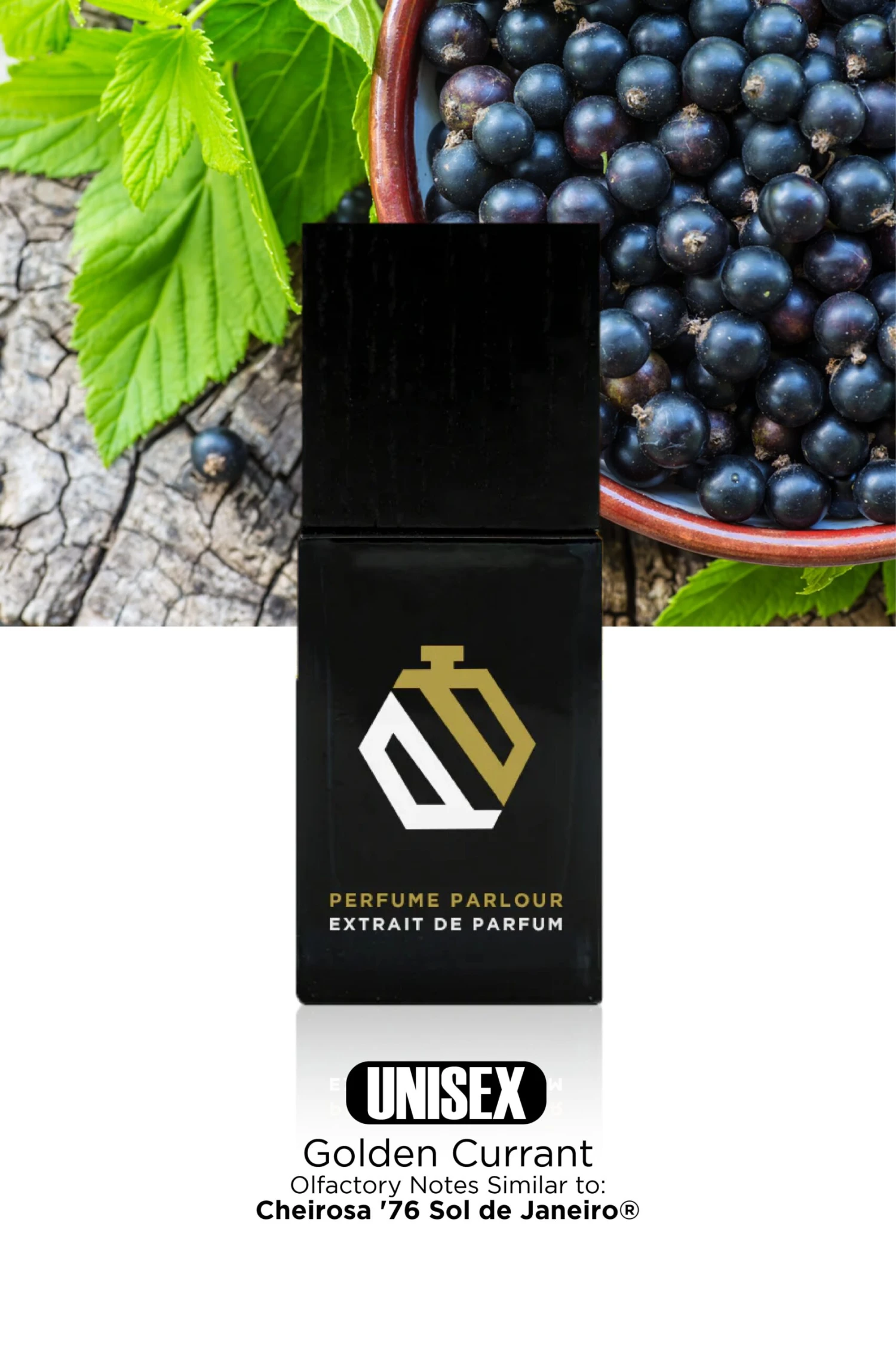 Golden Currant - 2224 3 Golden Currant - 2224