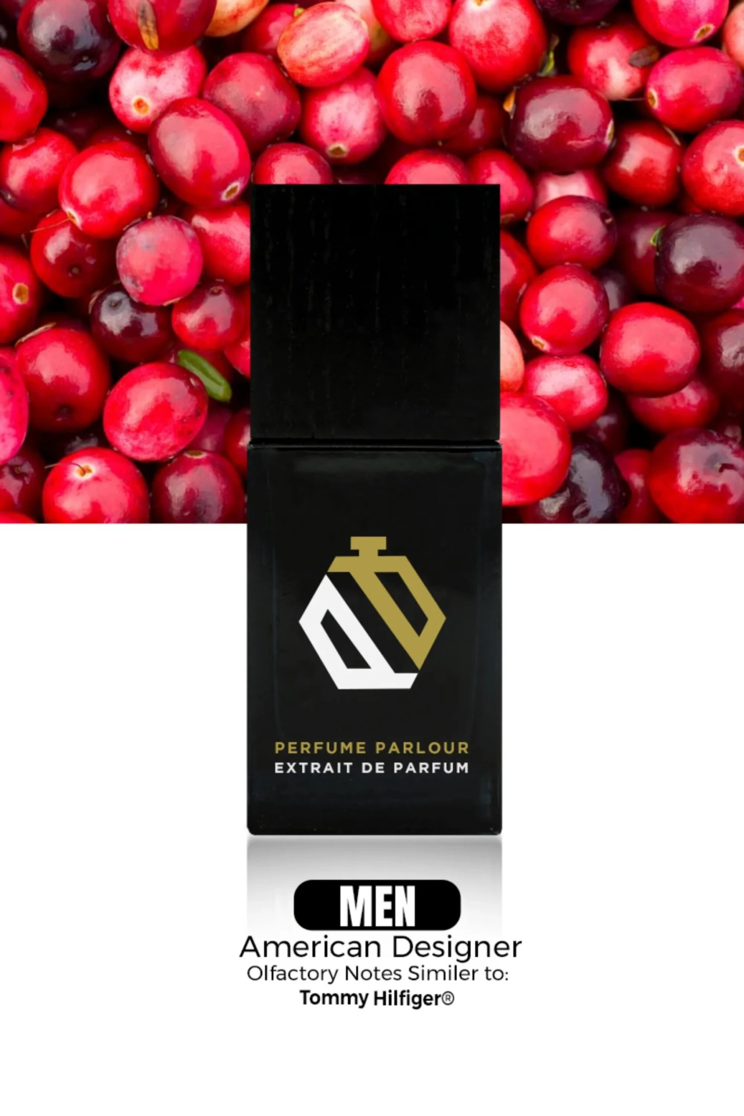 American Designer For Men - 11110560 3 American Designer For Men - 11110560