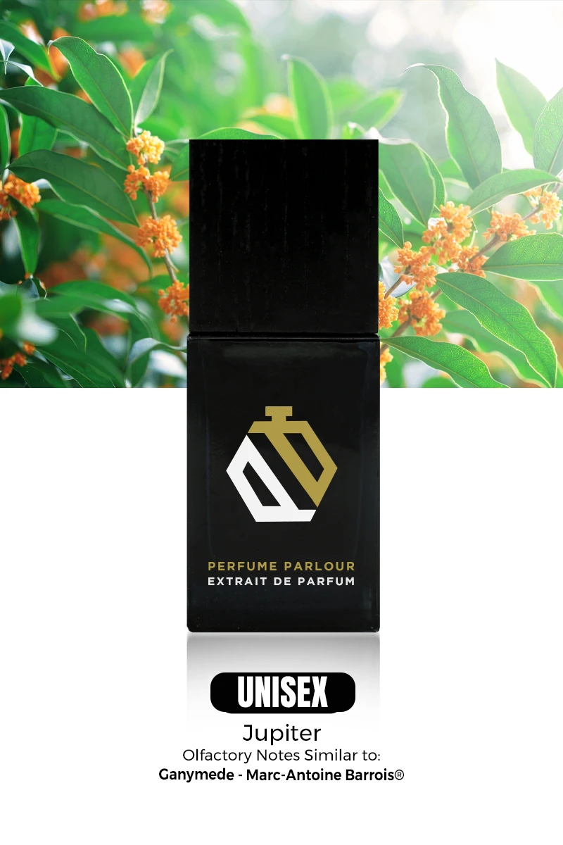 Luna Essence - 2073 5 Luna Essence - 2073 - Image 3