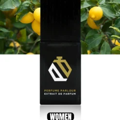 Sunny White Stones For Women - 0919