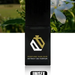 XV Celebration - 1668