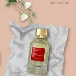 Baraccat - Brandy Designs 9 Baraccat - Brandy Designs -Perfume Promotion Store baraccat edp perfume spray 100ml 4 11801 p