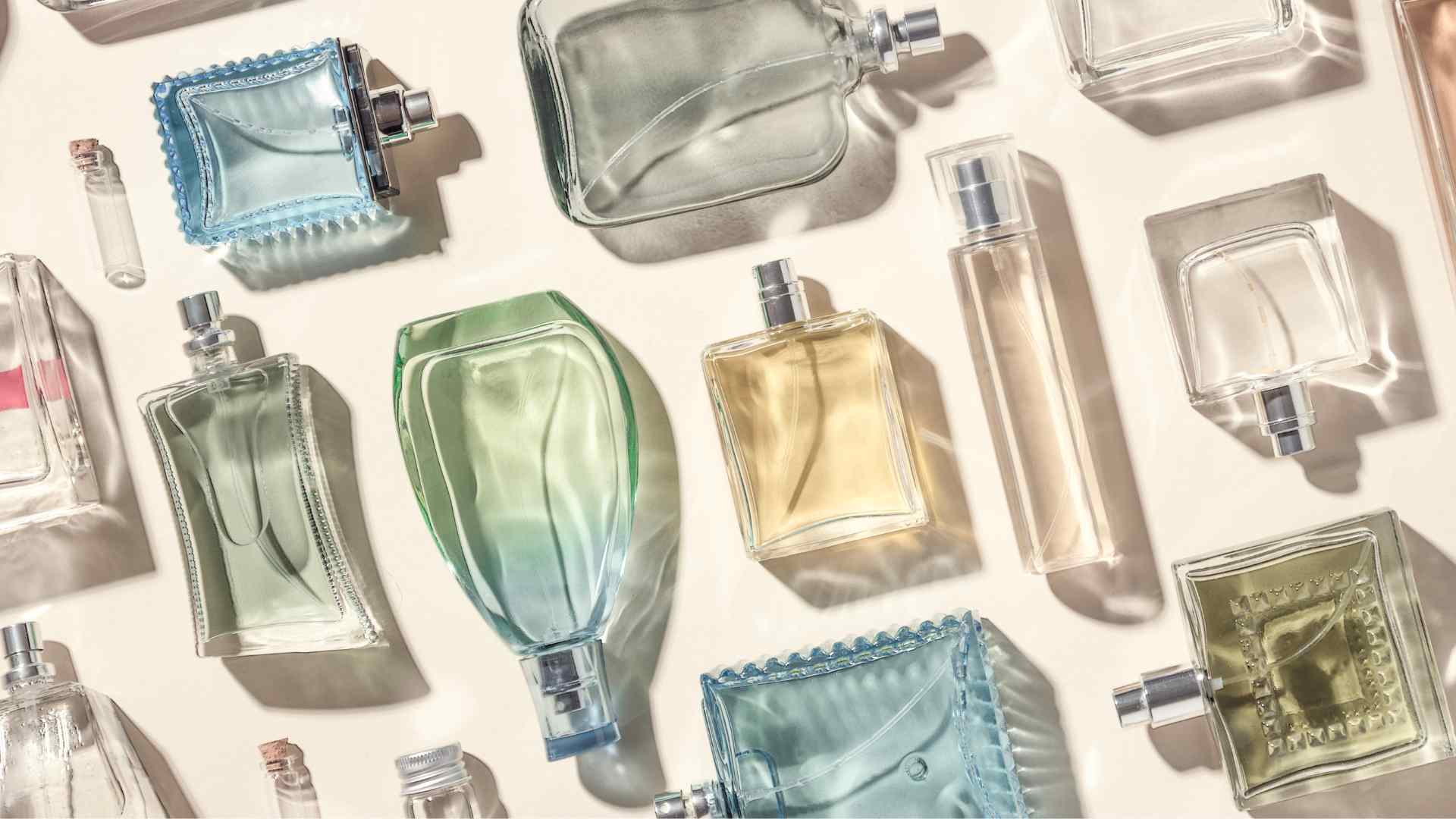 Perfume Promotion Store -Perfume Promotion Store image3 d745cfc9 bd3a 4194 837c d9972b60cd0a