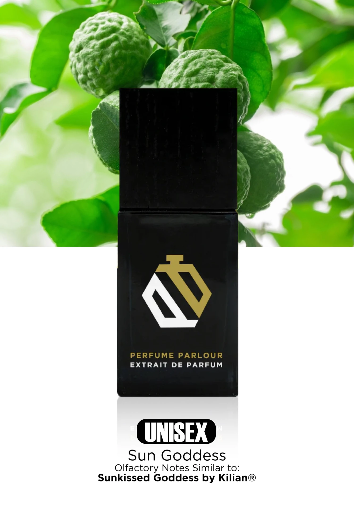 Sun Goddess - 2173 3 Sun Goddess - 2173